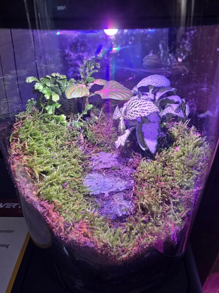 Terrario Evoluto 4L Automazioni, immagine 2